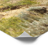 McCullough Peaks Wild Horses Poster (Ecke)