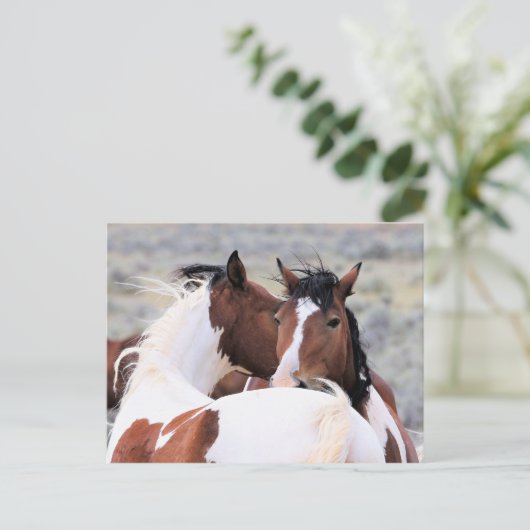 McCullough Peaks Wild Horses Postkarte (Stehend Vorderseite)
