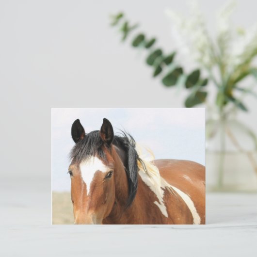 McCullough Peaks Wild Horses Postkarte (Stehend Vorderseite)