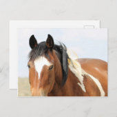 McCullough Peaks Wild Horses Postkarte (Vorne/Hinten)