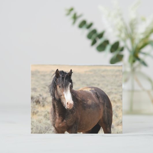 McCullough Peaks Wild Horses Postkarte (Stehend Vorderseite)