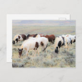 McCullough Peaks Wild Horses Postkarte (Vorne/Hinten)