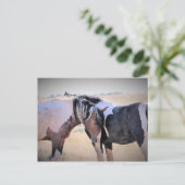 McCullough Peaks Wild Horses Postkarte (Stehend Vorderseite)