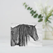 McCullough Peaks Wild Horses Postkarte (Stehend Vorderseite)