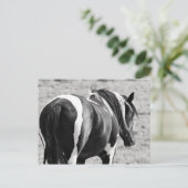 McCullough Peaks Wild Horses Postkarte (Stehend Vorderseite)