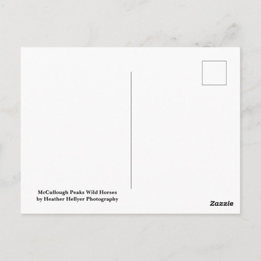 McCullough Peaks Wild Horses Postkarte (Rückseite)