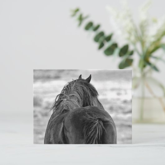 McCullough Peaks Wild Horses Postkarte (Stehend Vorderseite)