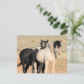 McCullough Peaks Wild Horses Postkarte (Stehend Vorderseite)