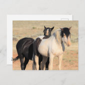 McCullough Peaks Wild Horses Postkarte (Vorne/Hinten)
