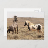 McCullough Peaks Wild Horses Postkarte (Vorne/Hinten)