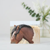 McCullough Peaks Wild Horses Postkarte (Stehend Vorderseite)