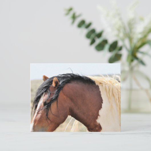 McCullough Peaks Wild Horses Postkarte (Stehend Vorderseite)