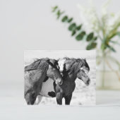 McCullough Peaks Wild Horses Postkarte (Stehend Vorderseite)