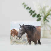 McCullough Peaks Wild Horses Postkarte (Stehend Vorderseite)
