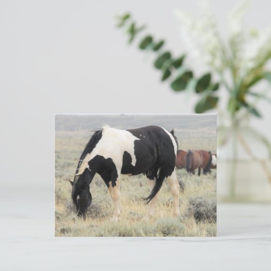 McCullough Peaks Wild Horses Postkarte (Stehend Vorderseite)