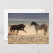McCullough Peaks Wild Horses Postkarte (Vorne/Hinten)
