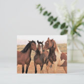 McCullough Peaks Wild Horses Postkarte (Stehend Vorderseite)