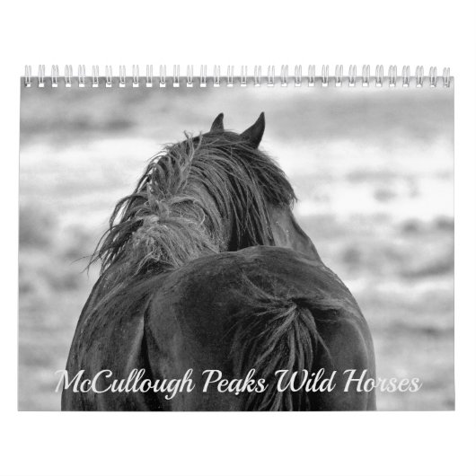 McCullough Peaks Wilde Pferde Kalender (Titelbild)