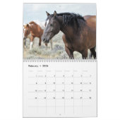 McCullough Peaks Wilde Pferde Kalender (Feb 2026)