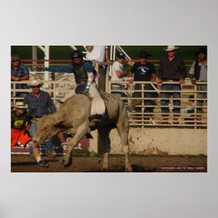 McDaniel's Wild West Rodeo 0065 Poster
