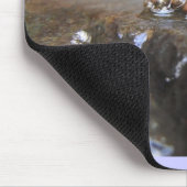 McDonald-Dunn. Eichen-Nebenfluss. Uenoidae Mousepad (Ecke)