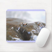 McDonald-Dunn. Eichen-Nebenfluss. Uenoidae Mousepad (Mit Mouse)