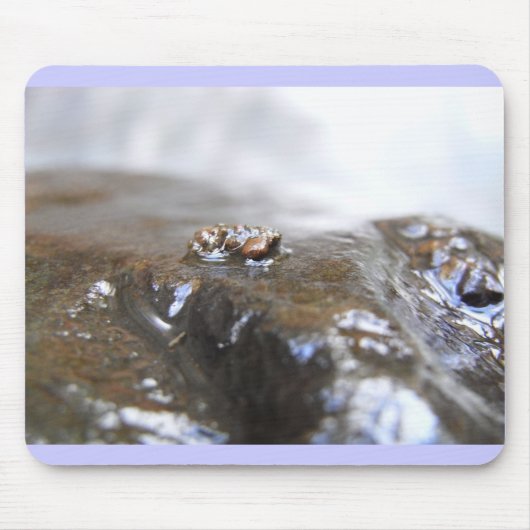 McDonald-Dunn. Eichen-Nebenfluss. Uenoidae Mousepad (Vorne)