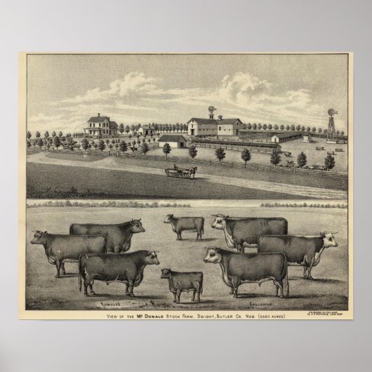 McDonald Farm, Nebraska Poster (Vorne)