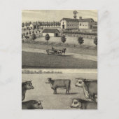 McDonald Farm, Nebraska Postkarte (Vorderseite)