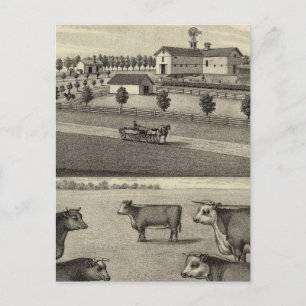 McDonald Farm, Nebraska Postkarte