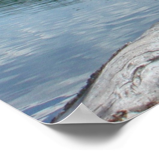 McDonald Glacier Park Poster (Ecke)