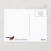 McDonald Lake bei Sunrise I Postkarte (Rückseite)