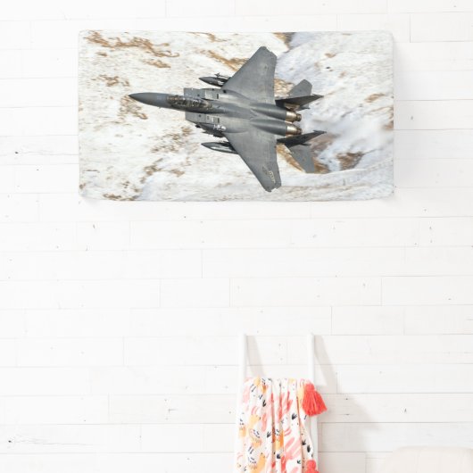 McDonnell Douglas F-15 Eagle Banner (InSitu)