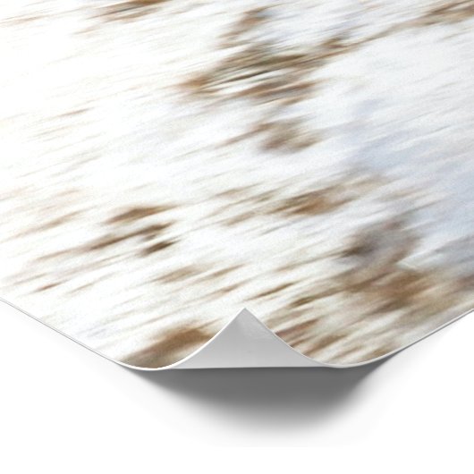 McDonnell Douglas F-15 Eagle Poster (Ecke)