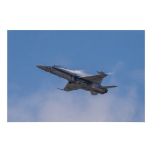 McDonnell Douglas F/A-18 Hornet Poster