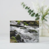 McDowell Creek, Oregon Postkarte (Stehend Vorderseite)