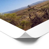 McDowell-Nationalpark Poster (Ecke)