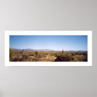 McDowell-Nationalpark Poster