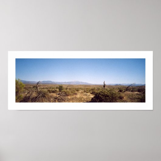 McDowell-Nationalpark Poster (Vorne)