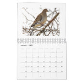 McFleur's Linse Kalender (Jan 2027)