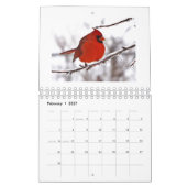McFleur's Linse Kalender (Feb 2027)