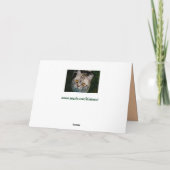 McGonagall Katzen-Grußkarte Karte (Rückseite)