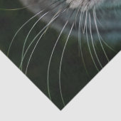 McGonagall-Katzengewebpapier Seidenpapier (Detail)