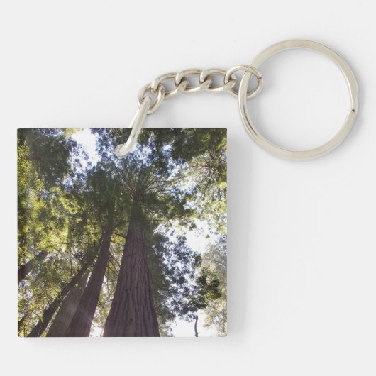 MCGS Strip-Logo mit Grenze Schlüsselanhänger (Rückseite)