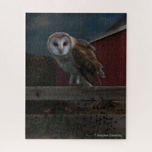 "McHoots The Watch Owl" Puzzle