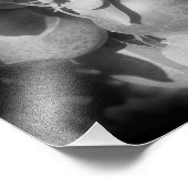 McIntosh Äpfel auf Bäumen in Schwarz und Weiß 8x8 Fotodruck (Ecke)