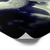 McIntosh Äpfel auf Bäumen in Schwarz und Weiß Poster (Ecke)