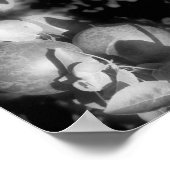 McIntosh Äpfel auf Baumschwarz und Weiß Abstrakt Poster (Ecke)