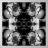 McIntosh Äpfel auf Baumschwarz und Weiß Abstrakt Poster (Vorne)