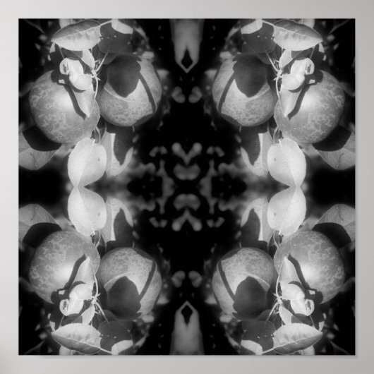 McIntosh Äpfel auf Baumschwarz und Weiß Abstrakt Poster (Vorne)